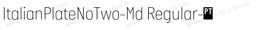 ItalianPlateNoTwo-Md Regular字体转换